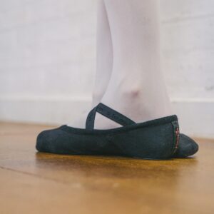 Canvas Ballet Shoes
